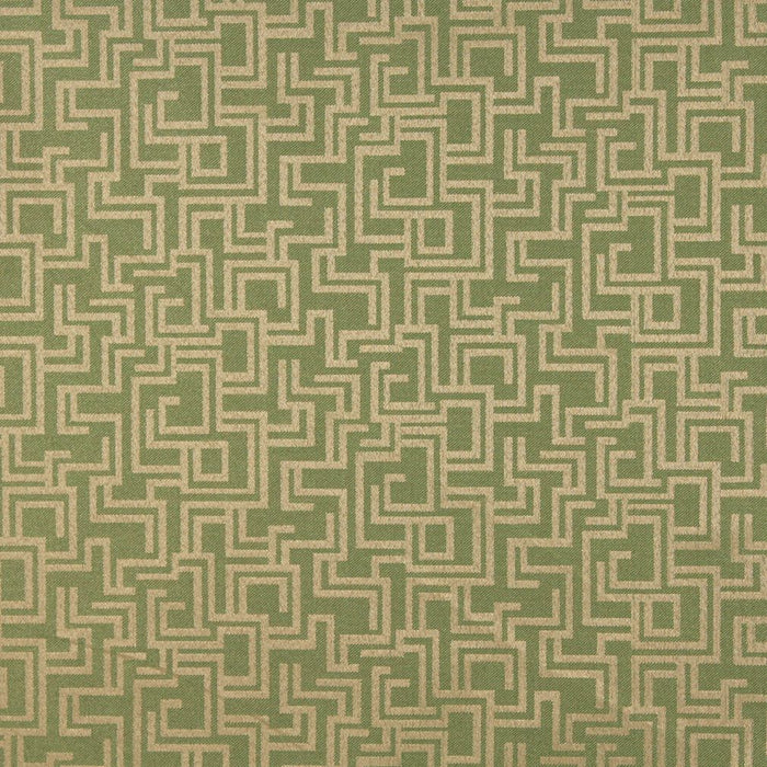 Charlotte Fern/geometric Fabric Sample 6634