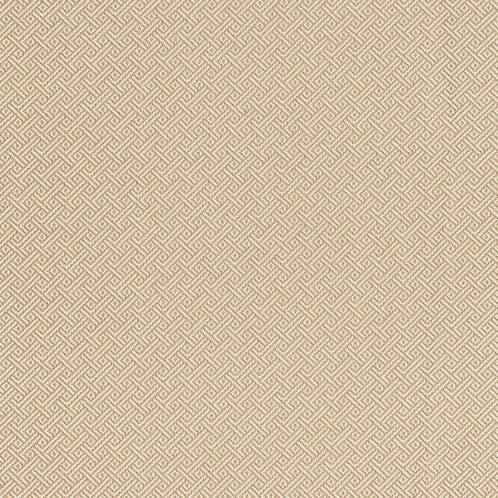 Schumacher Picard Weave Greige Fabric Sample 66411