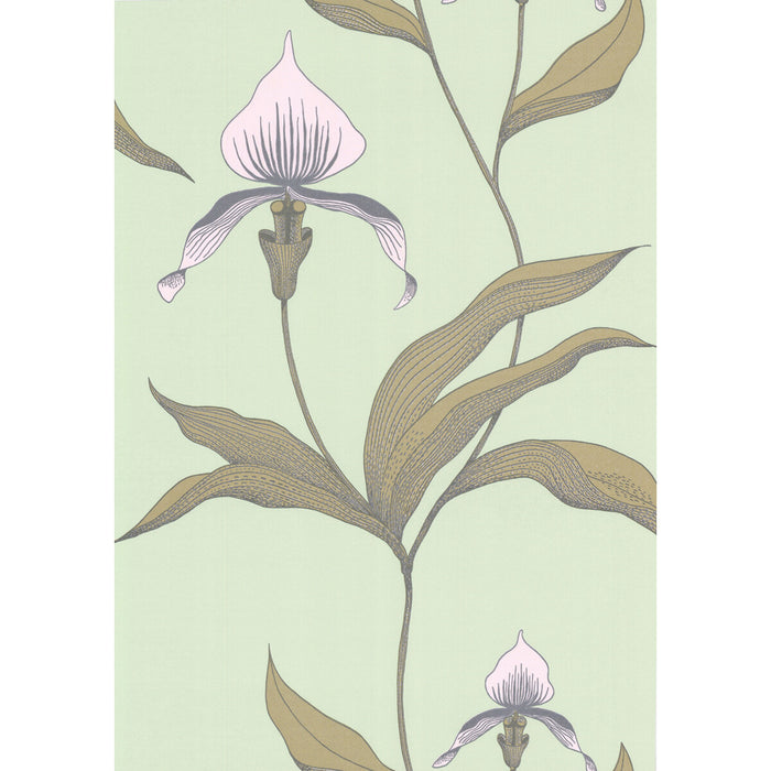 Cole & Son Orchid Pale Gr Wallpaper 66/4028.CS.0