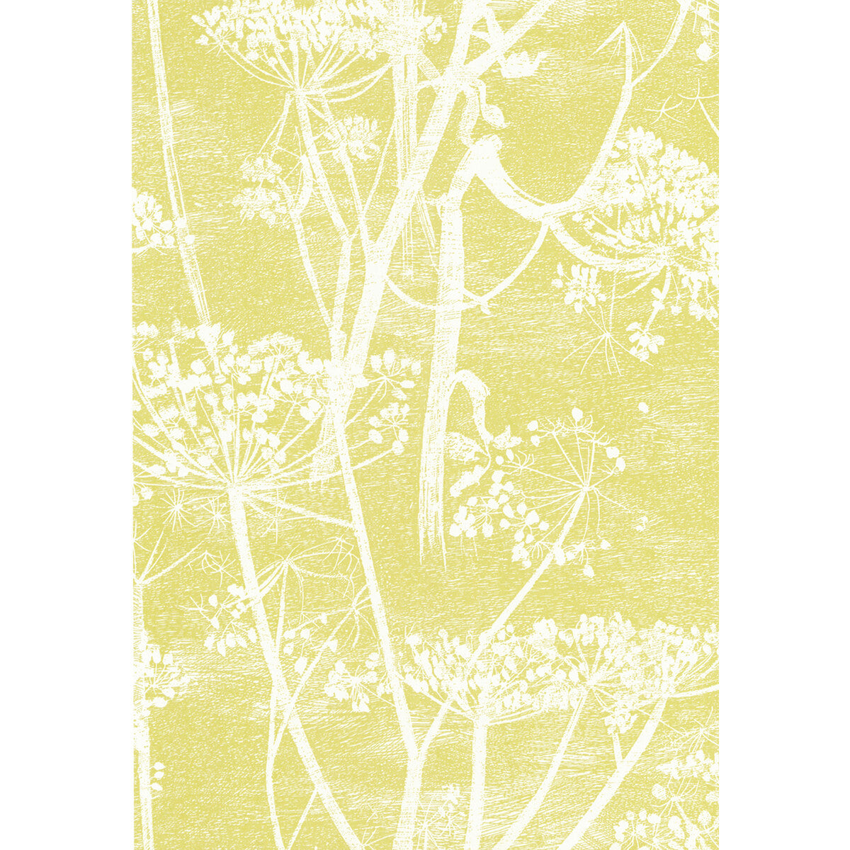 Cole & Son Cow Parsley White/Y Wallpaper 66/7051.CS.0