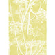 Cole & Son Cow Parsley White/Y Wallpaper 66/7051.CS.0