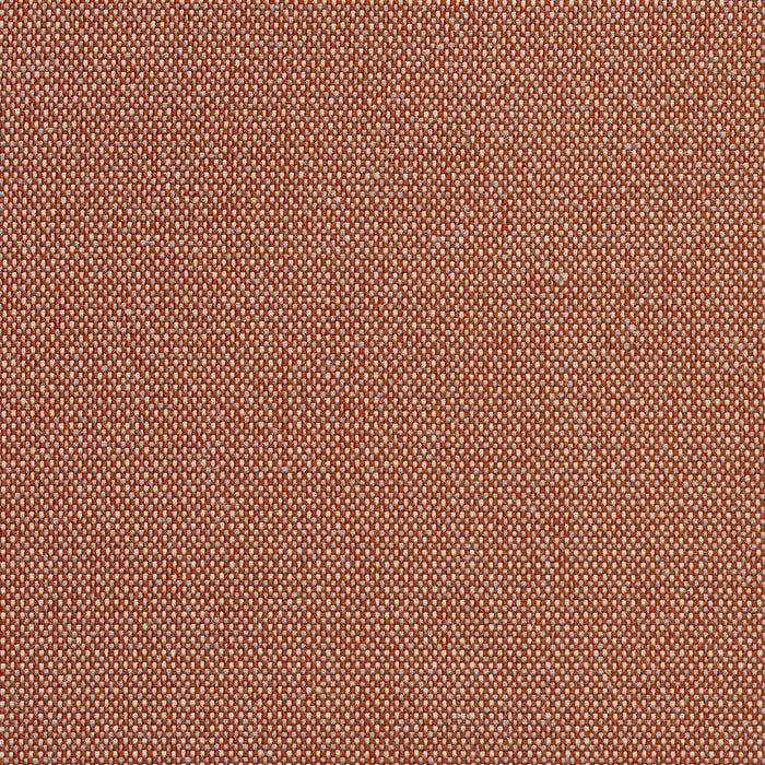 Charlotte Spice/dot Fabric Sample 6741