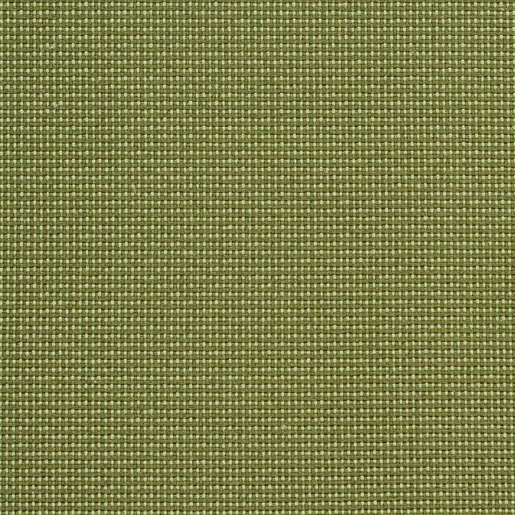 Charlotte Ivy/dot Fabric 6745