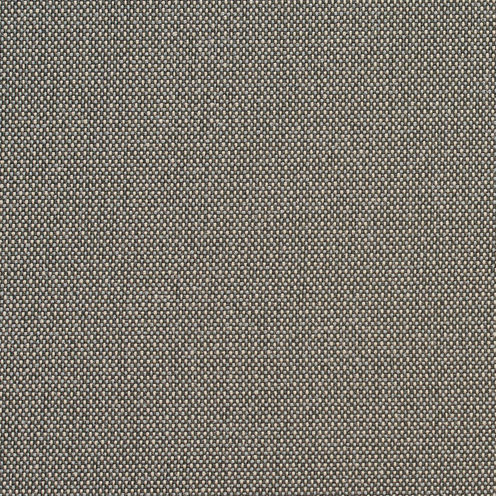 Charlotte Pewter/dot Fabric 6747