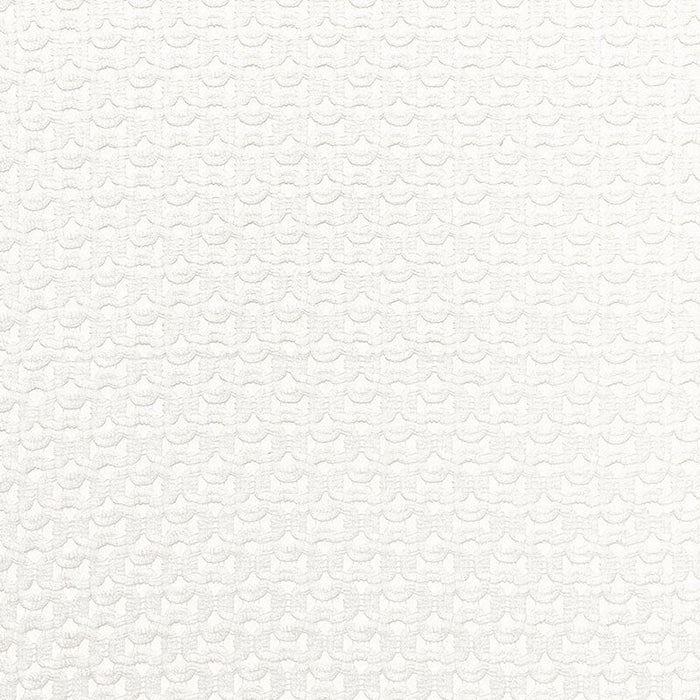 Schumacher Riccardi Sheer Ivory Fabric Sample 67630