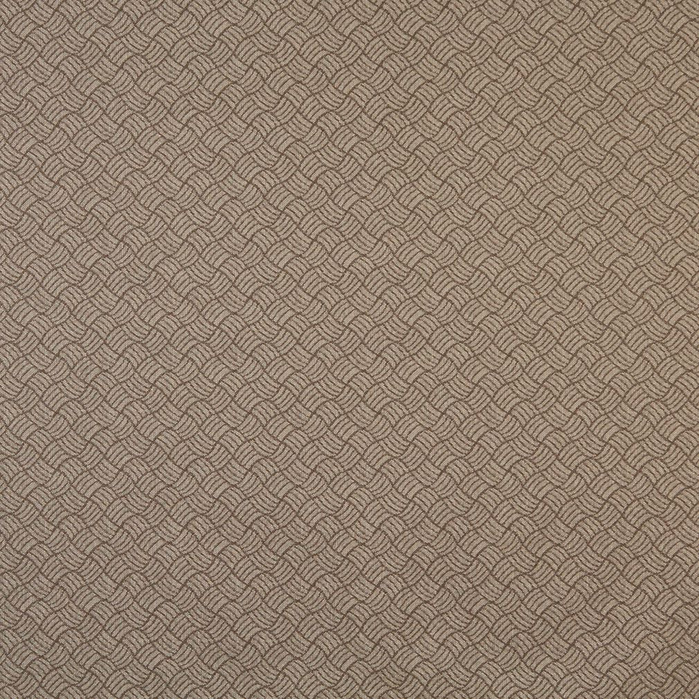 Charlotte Acorn/metro Fabric 6764