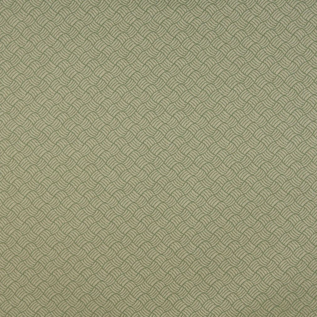 Charlotte Ivy/metro Fabric 6769