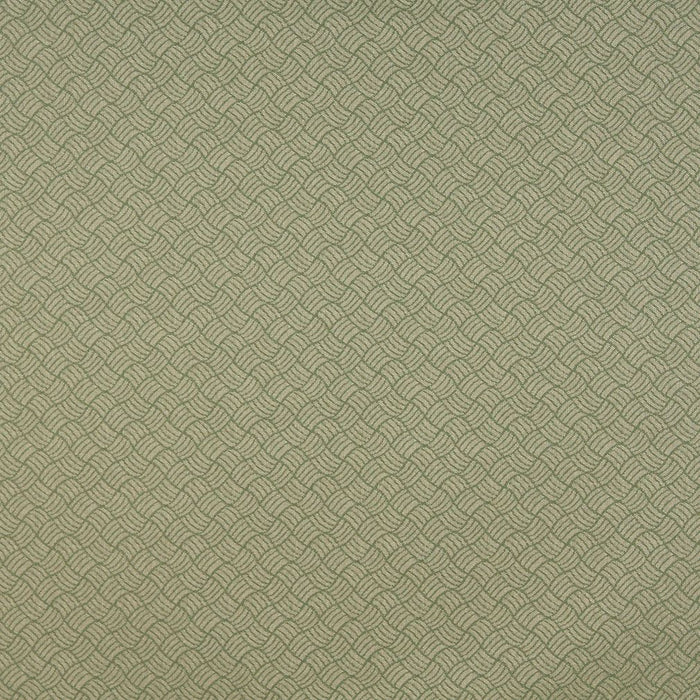 Charlotte Ivy/metro Fabric 6769