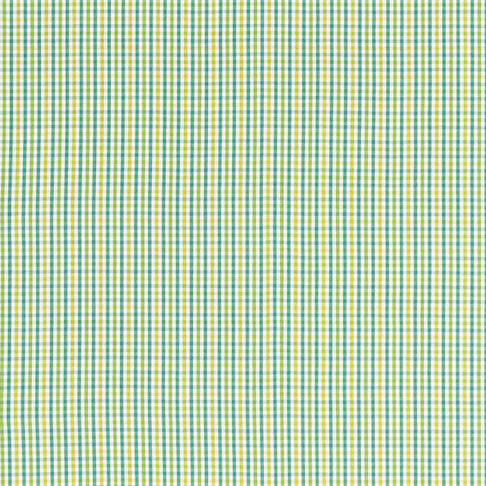 Schumacher Bahama Check Lagoon Fabric Sample 68050