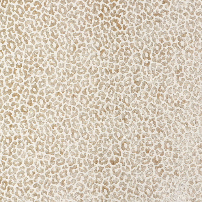 Schumacher Madeleine Velvet Natural Fabric Sample 68826