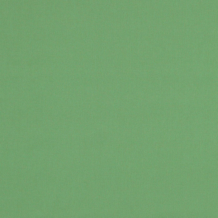 Schumacher Elliott Brushed Cotton Basil Fabric Sample 69544