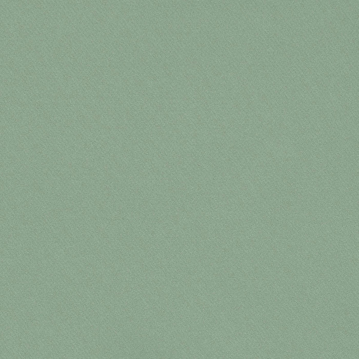 Schumacher Blake Polished Cotton Sage Fabric Sample 69568