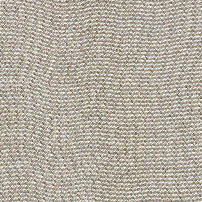 Schumacher Giorgio Sheer Platinum Fabric Sample 69680