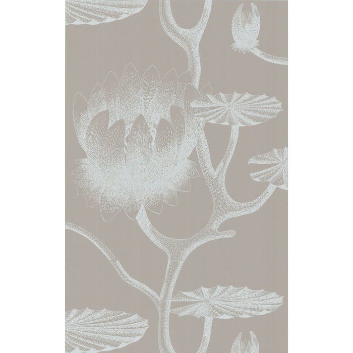 Cole & Son Lily White/Grey Wallpaper 69/3110.CS.0