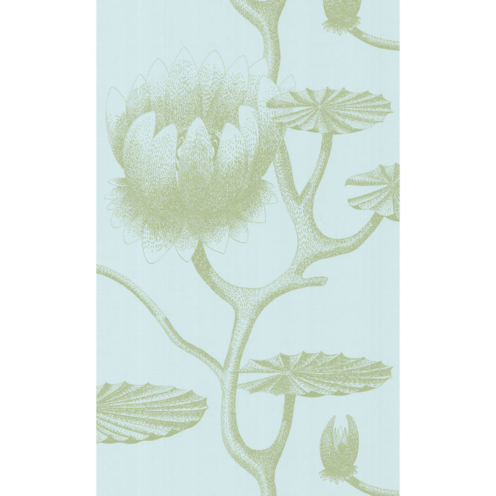 Cole & Son Lily Sage/Pale Blue Wallpaper 69/3112.CS.0