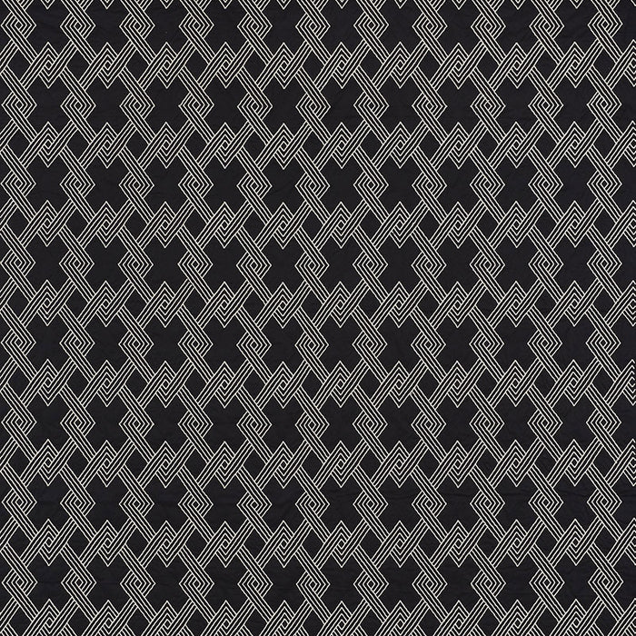 Schumacher Hix Ebony Fabric 70145