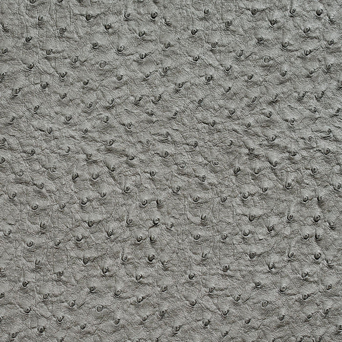 Charlotte Pewter Fabric 7018