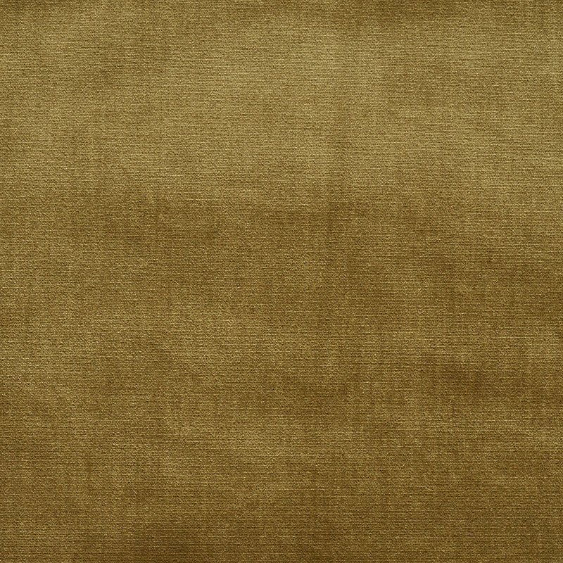 Schumacher Venetian Silk Velvet Hazel Fabric 70423