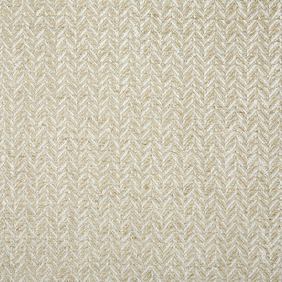 Pindler Tolstoy Beach Fabric 7093