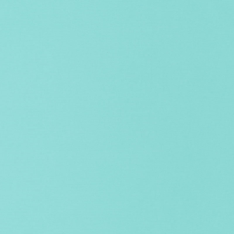 Schumacher Santa Margherita Aqua Fabric 70954