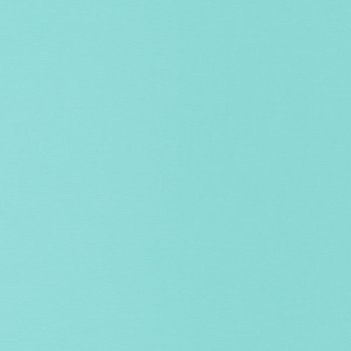 Schumacher Santa Margherita Aqua Fabric 70954