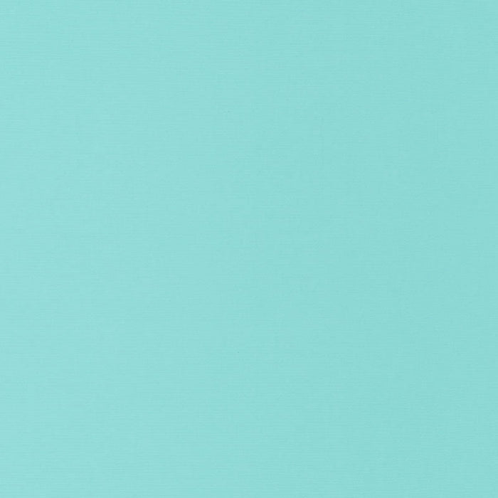 Schumacher Santa Margherita Aqua Fabric Sample 70954