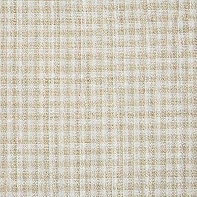 Pindler Melville Beach Fabric 7095