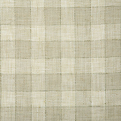 Pindler Wilde Bamboo Fabric 7097