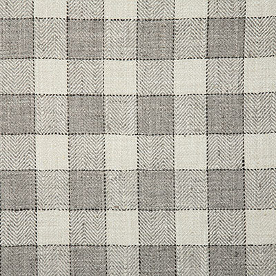 Pindler Wilde Smoke Fabric 7097