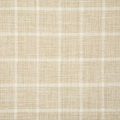 Pindler Dumas Cashmere Fabric 7098