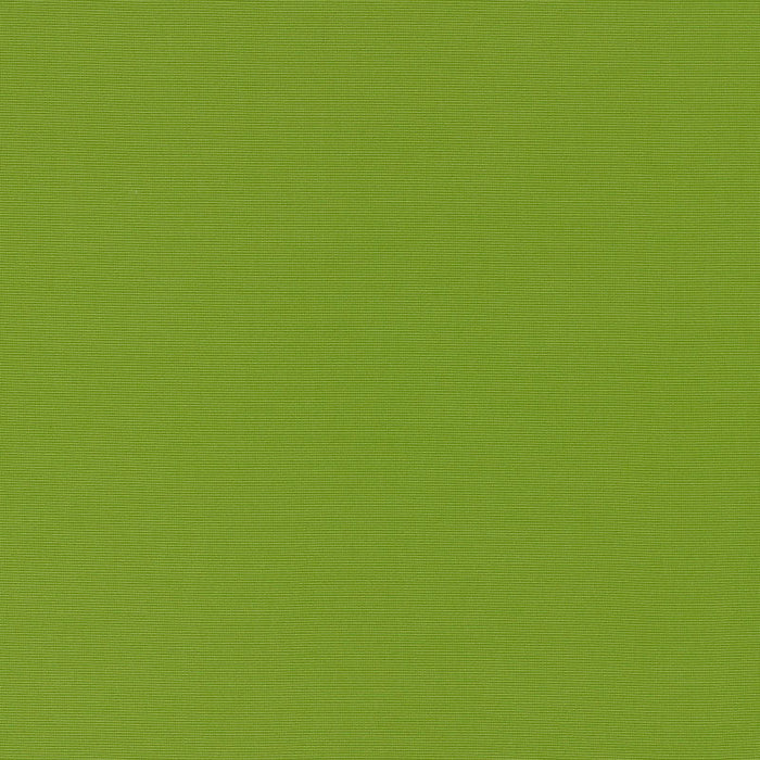 Schumacher Alassio Lime Fabric Sample 70992