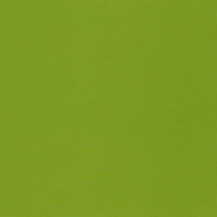 Schumacher Mondello Lime Fabric Sample 71032