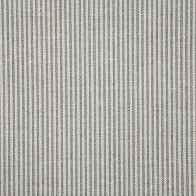 Pindler Savannah Silver Fabric 7107