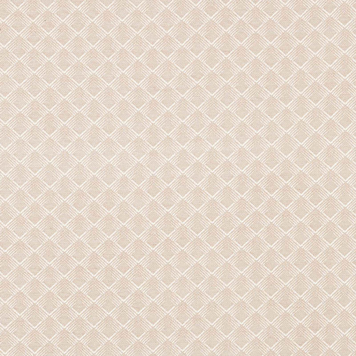 Schumacher Morgan Pearl Grey Fabric Sample 71171