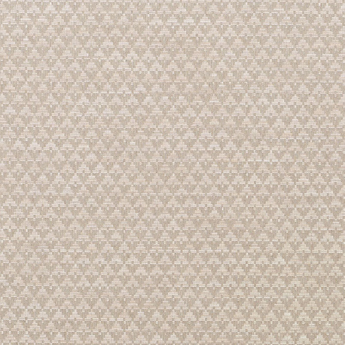 Schumacher Evans Stone Fabric Sample 71180