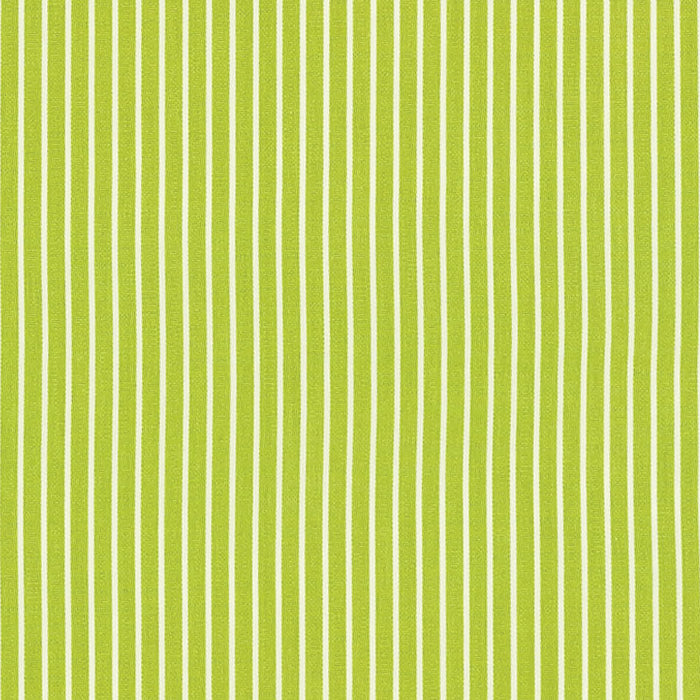 Schumacher Edie Stripe Green Fabric Sample 71306