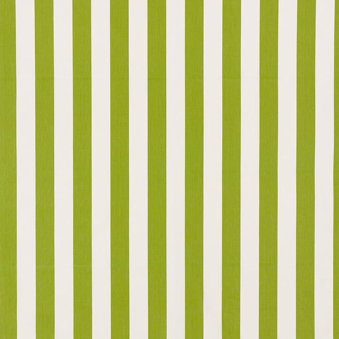 Schumacher Andy Stripe Green Fabric Sample 71326