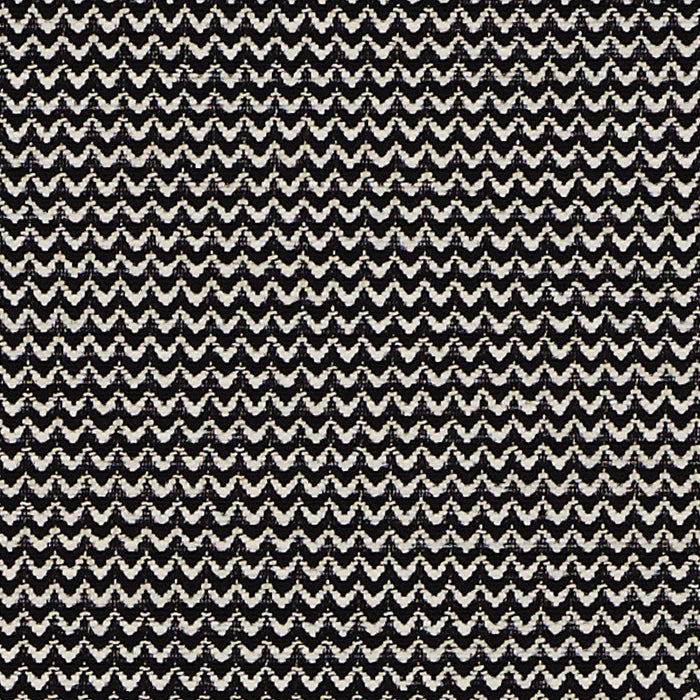 Schumacher Ellis Black Fabric Sample 71572