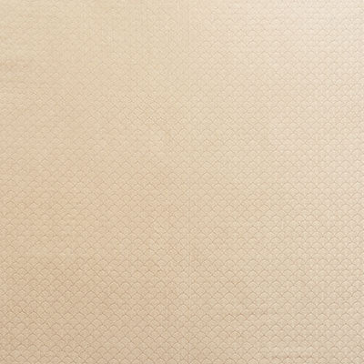 Schumacher Ashton Champagne Fabric 71621