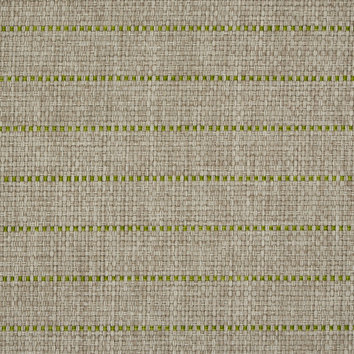 Schumacher Manning Stripe Indoor/Outdoor Lime Fabric Sample 71813