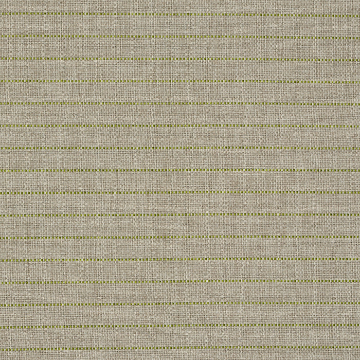 Schumacher Manning Stripe Indoor/Outdoor Lime Fabric Sample 71813