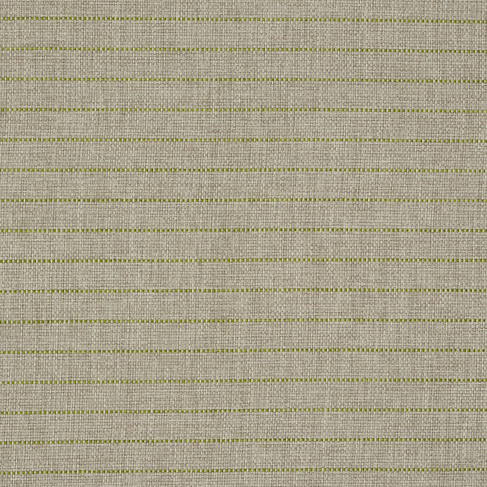 Schumacher Manning Stripe Indoor/Outdoor Lime Fabric 71813