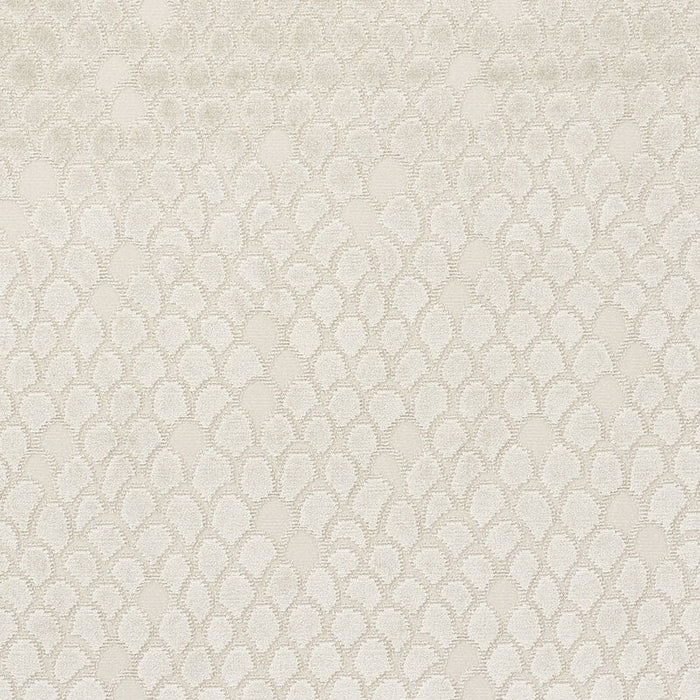 Schumacher Esther Velvet Moonstone Fabric Sample 72771