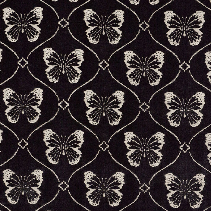 Schumacher Papillon Velvet Onyx Fabric Sample 72960