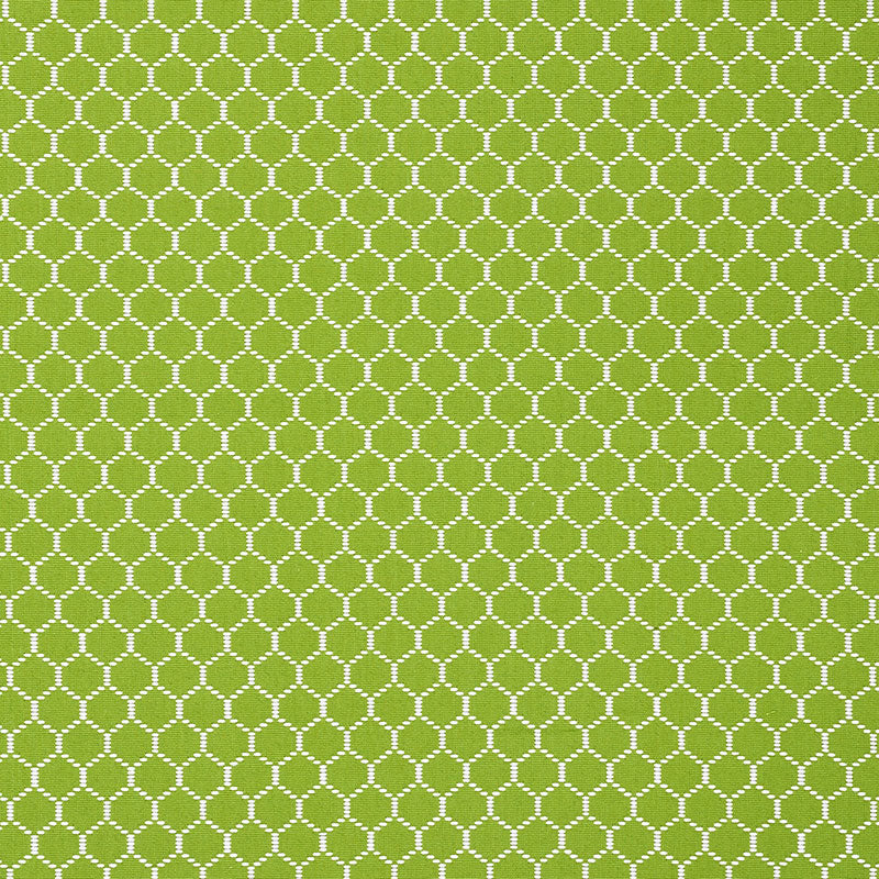 Schumacher Fishnet Leaf Fabric 73092