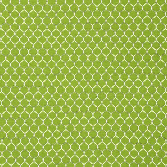 Schumacher Fishnet Leaf Fabric 73092