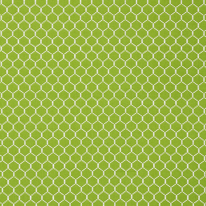 Schumacher Fishnet Leaf Fabric Sample 73092