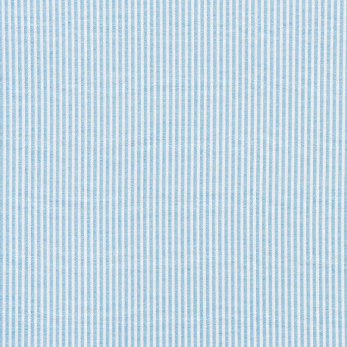 Schumacher Easton Stripe Sky Fabric Sample 73150