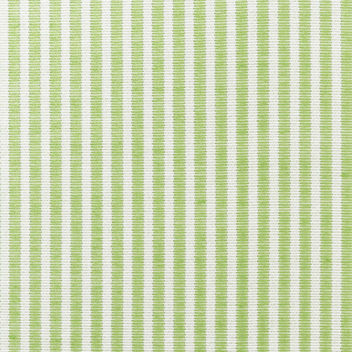 Schumacher Easton Stripe Leaf Fabric Sample 73151