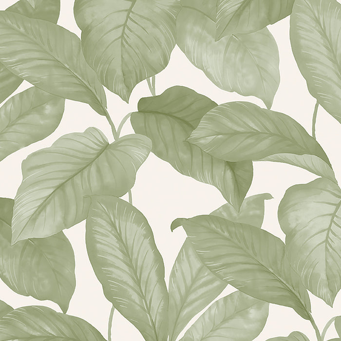 Schumacher Bo Leaf Wallpaper 7402